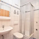 Rent 2 bedroom apartment of 33 m² in Chemnitz