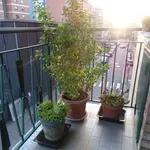 Rent 2 bedroom apartment of 65 m² in turin