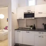 Rent 1 bedroom apartment in milan