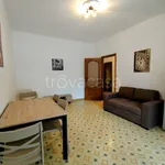 Rent 3 bedroom apartment of 80 m² in Torino