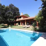 Villa en Alquiler en Alquiler temporada de invierno 6 meses - Sitio de Calahonda