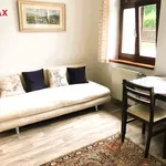 Rent 1 bedroom apartment of 28 m² in ratibor