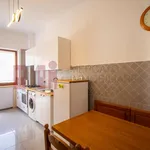 Rent 4 bedroom apartment of 19 m² in Roma