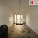 Rent 3 bedroom apartment in Karlovy Vary