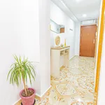 Alquilo 4 dormitorio apartamento de 80 m² en Alicante