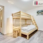 Rent 3 bedroom apartment of 74 m² in Jáchymov