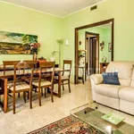 Rent 3 bedroom apartment of 107 m² in Gallarate