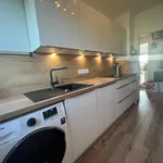 Rent 2 bedroom apartment of 60 m² in Erfurt