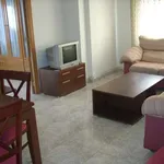 Rent a room in zaragoza