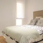 Rent 1 bedroom apartment in madrid