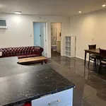 Rent 1 bedroom apartment in Auckland