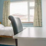 Rent a room of 120 m² in dublin