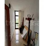 Rent 4 bedroom apartment of 90 m² in Galatone