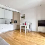 Rent 1 bedroom apartment in milan