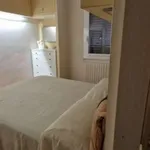 Rent 4 bedroom apartment of 80 m² in Bologna