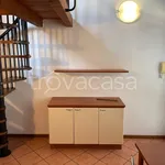 Rent 3 bedroom apartment of 65 m² in Treviglio