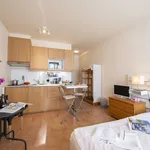 Miete 1 Schlafzimmer wohnung von 26 m² in Ruvigliana