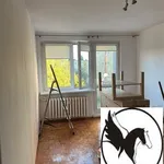 Rent 2 bedroom apartment of 38 m² in Poznań