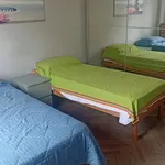 Rent 2 bedroom apartment of 65 m² in Torino