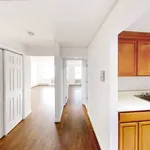 Rent 1 bedroom apartment in NY