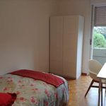 Rent a room in Padova