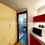 Rent 2 bedroom apartment of 40 m² in Turin