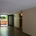 Rent 1 bedroom apartment of 55 m² in Segrate