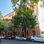 Rent 3 bedroom apartment of 82 m² in Verona