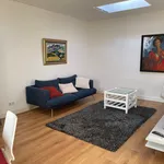 Rent 2 bedroom apartment of 65 m² in Haarlem