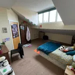 Rent 11 bedroom house in Leeds