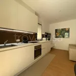 Rent 2 bedroom apartment of 65 m² in Treviso