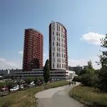 Pronajměte si 2 ložnic/e byt o rozloze 54 m² v Prague