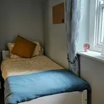 Rent 11 bedroom apartment in dublin