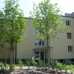 Rent 5 bedroom apartment of 100 m² in Embrach