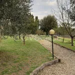 Rent 3 bedroom apartment of 75 m² in Siena