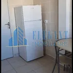 Rent 1 bedroom apartment in Lovnic