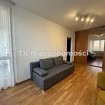 Rent 1 bedroom apartment of 29 m² in Gliwice