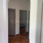 Rent 3 bedroom apartment of 80 m² in Joppolo