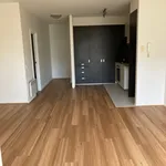 Rent 1 bedroom apartment in North