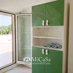 Rent 4 bedroom apartment of 95 m² in Pisa