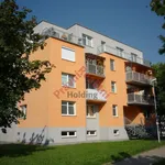 Rent 2 bedroom apartment of 53 m² in Pardubice