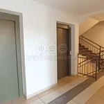 Rent 1 bedroom apartment of 34 m² in Most