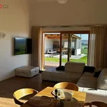 Rent 1 bedroom house of 145 m² in Dolní Heřmanice