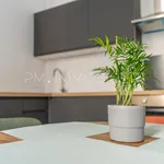 Appartement de 31 m² avec 2 chambre(s) en location à Marseille