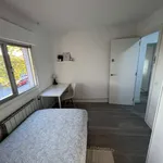 Rent a room in madrid