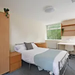 Rent 4 bedroom apartment in Sheffield