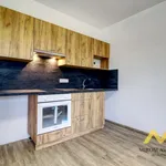 Rent 3 bedroom apartment of 84 m² in Smiřice