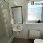 Rent 4 bedroom apartment of 100 m² in Prague