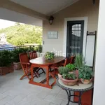 Rent 3 bedroom apartment of 100 m² in Monte Porzio Catone