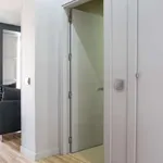 Rent 1 bedroom apartment in madrid